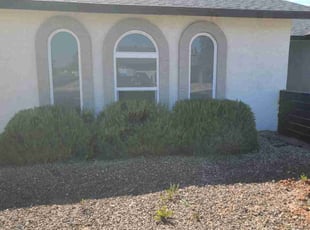 Bush Trimming by Chris Hawk for Gianna G. in Phoenix, AZ