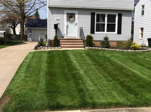 Keisha S.'s Lawn Care service result