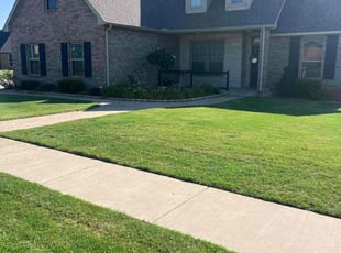 Thom W.'s Yard Cutting service result