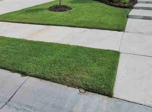 Teresa G.'s Lawn Maintenance service result