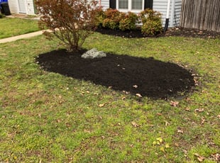 Weeding by Brandon Miller for Chanda C. in Waldorf, MD