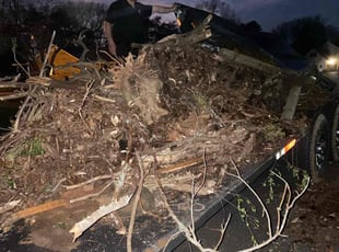 Mary Claire H.'s Cleanups service result
