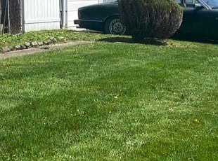 Bush Trimming by Buckeye Touch for Lillie H. in Columbus, OH