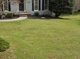 V C.'s Lawn Service service result