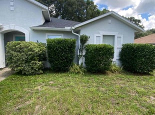 Teresita F.'s Bush Trimming service result