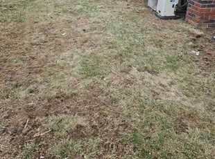 Leaf Removal by Brant Kloiber for Tina J. in Bethlehem, PA