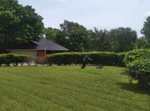 Bush Trimming by Vanessa Guevara for Loretta J. in Duncanville, TX