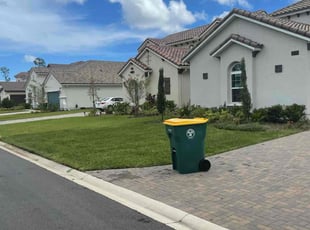 Carla B.'s Lawn Mowing service result