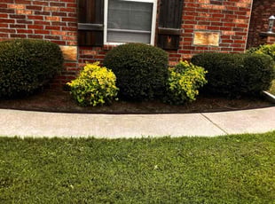 Weeding by James Doss for Jeremy S. in Fayetteville, AR