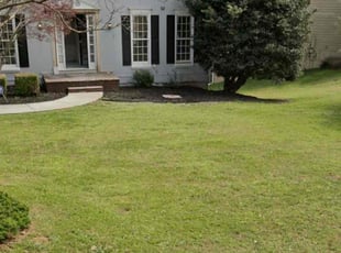 Marsha D.'s Lawn Mowing service result