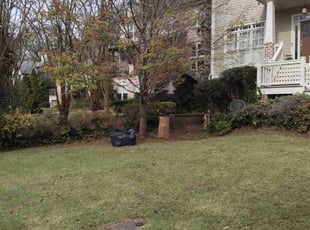 Leaf Removal by Nanda Cherry for Joseph V. in Atlanta, GA