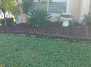 Weeding by Idris Quinn for Jesse F. in Davenport, FL