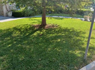 Dan L.'s Lawn Care service result