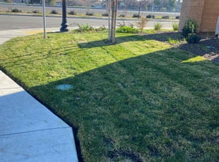 Skye N.'s Lawn Mowing service result