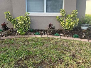 Weeding by Efrain Marrero for Lolita J. in Zephyrhills, FL