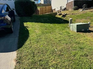 Bush Trimming by Erica Smedley for Frazier S. in Mount Holly, NC