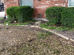 Bush Trimming by Jai Kately for Danielle W. in Midlothian, TX