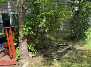 Bush Trimming by Luis Contreras for Mekisha C. in Indianapolis, IN