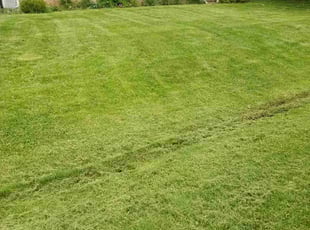 Antwone S.'s Lawn Mowing service result