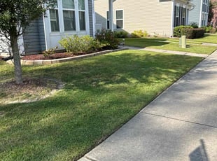 Linda M.'s Lawn Mowing Service service result