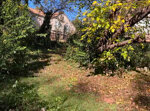 Leaf Removal by Justin Cowper for Eria B. in Taylors, SC