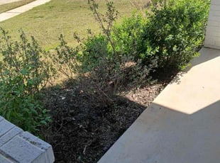 Weeding by Anjalise Duran for Kristin P. in Azle, TX