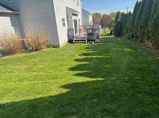 Cassie C.'s Lawn Service service result