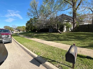 Alexander B.'s Yard Cutting service result