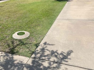 Joanne S.'s Lawn Care service result