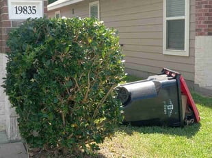 Bush Trimming by Alexis Perez for Tammie H. in Cypress, TX