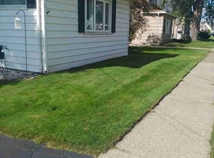 Lazar H.'s Lawn Maintenance service result