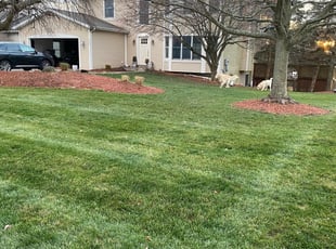 Leaf Removal by Mekkel Jackson for Lindsey N. in Grand Rapids, MI