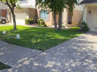 Laura S.'s Lawn Care service result