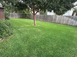 Holly A.'s Lawn Mowing Service service result