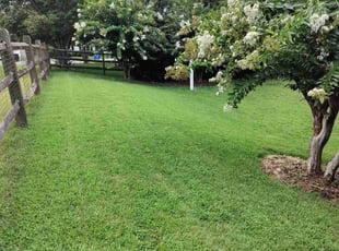 Sangamesh B.'s Lawn Maintenance service result