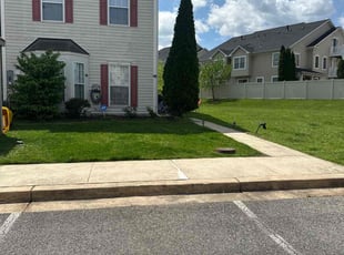 Olga B.'s Yard Cutting service result