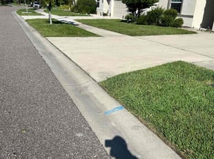 paul s.'s Lawn Mowing service result