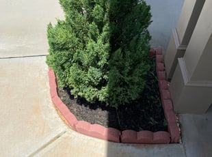 Bush Trimming by John Bender for Phuong P. in Lilburn, GA