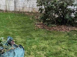 Bush Trimming by Tim Deal for Martin H. in Stow, OH