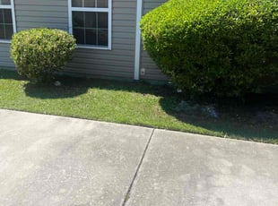 Bush Trimming by Marco Garcia for Szakolczay K. in Myrtle Beach, SC
