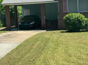 Alison F.'s Bush Trimming service result