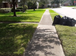 Cleanups by Jesus Hernandez for Jason R. in Houston, TX