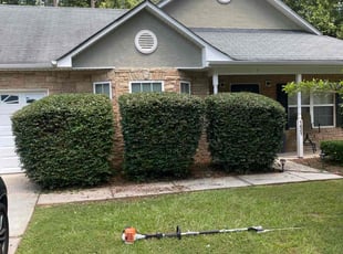 Jakata S.'s Bush Trimming service result