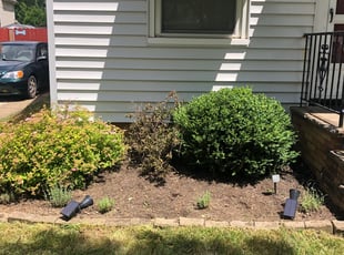 Cleanups by Demetrius Bennett Jr for Jason P. in Cleveland, OH