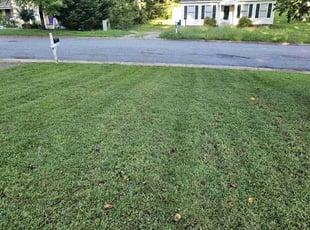 Tom K.'s Lawn Care service result