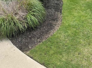 Weeding by Patrick Stewart for Lyndsey C. in Prosper, TX