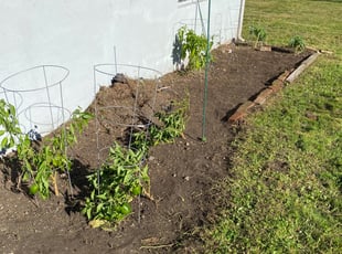 Weeding by James Sedlak for Rachel F. in Carbondale, PA