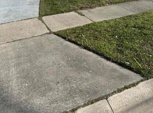 Catherine R.'s Lawn Mowing Service service result