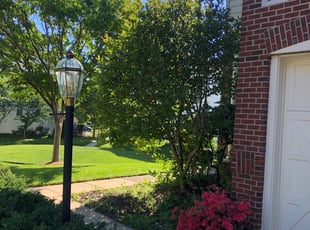 Bush Trimming by Jairo Salamanca for John B. in Oak Hill, VA