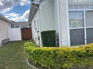 Bush Trimming by Luis Longa for Deirdre D. in Orlando, FL